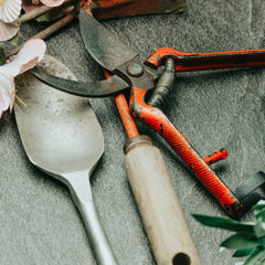 Collection image for: Garden Tools
