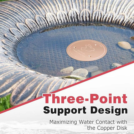 Water Purification Plate