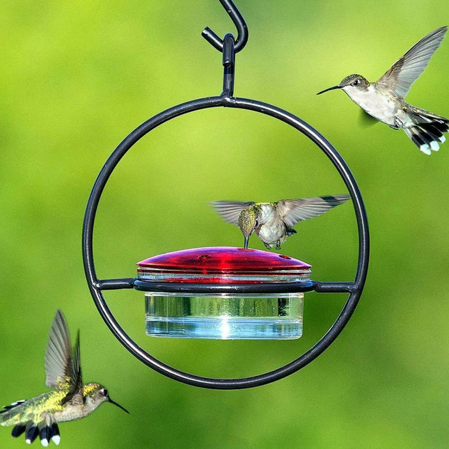 Hanging Hummingbird Feeder