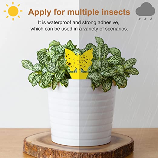 40 pcs Reusable Dual-Sided Sticky Fly Traps