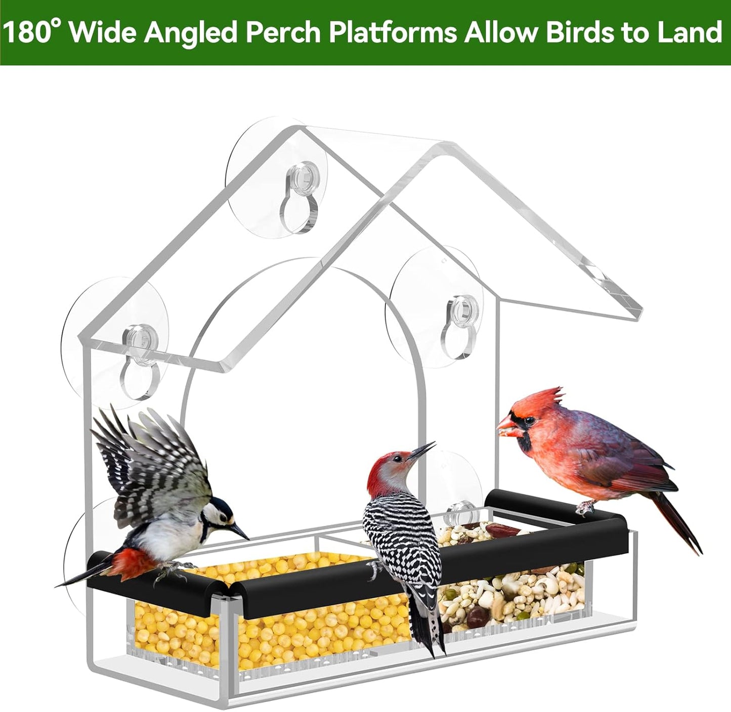 Transparent Bird Feeder