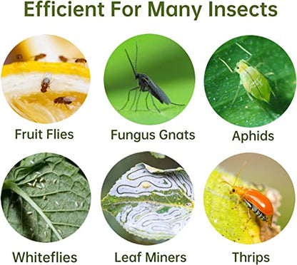 40 pcs Reusable Dual-Sided Sticky Fly Traps