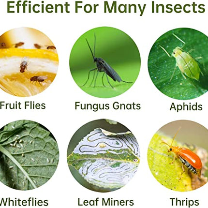 Reusable Dual-Sided Sticky Fly Traps