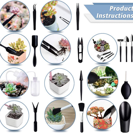 Succulent Plants Tool Set