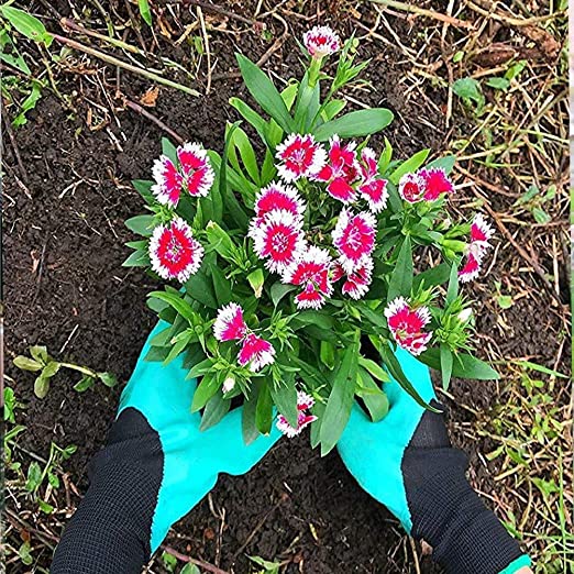 Gardening Claw Gloves