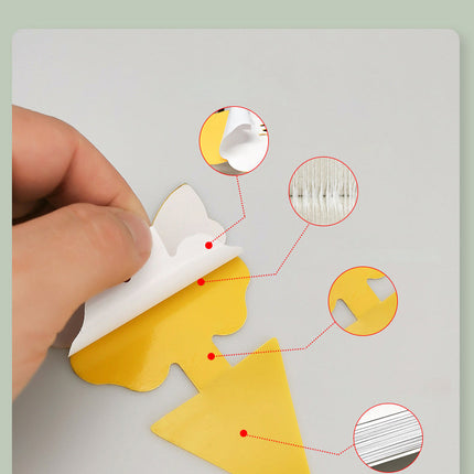 Reusable Dual-Sided Sticky Fly Traps