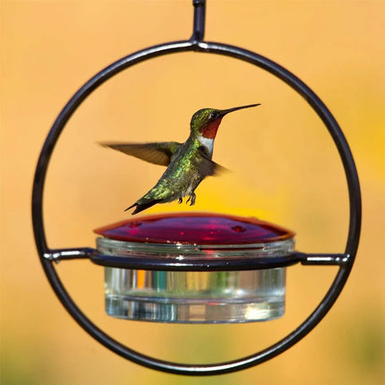 Hanging Hummingbird Feeder