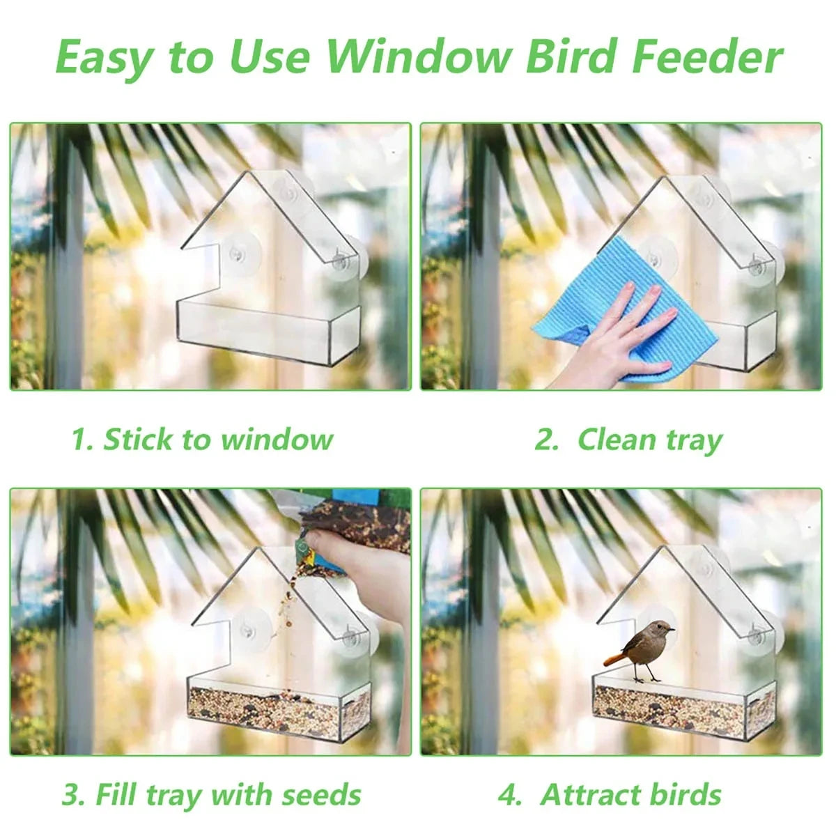 Transparent Bird Feeder