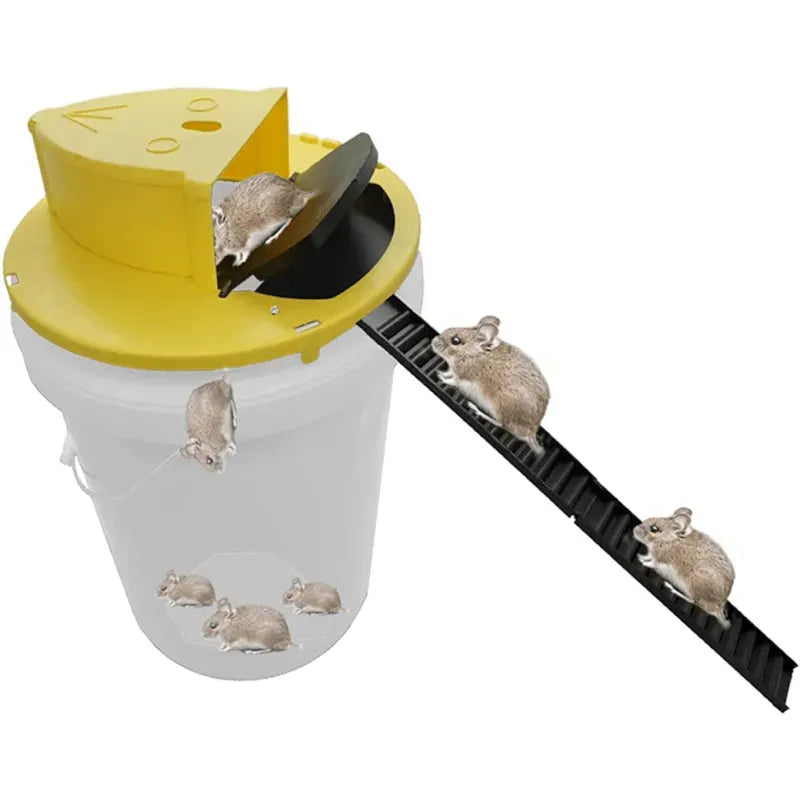 Bucket Mouse Trap Gardens Depot Bucket mouse trap gardens depot