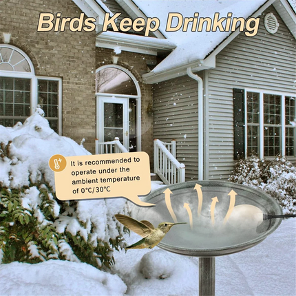 60W Bird Bath Heater Deicer with Thermostat Control & Auto Shut