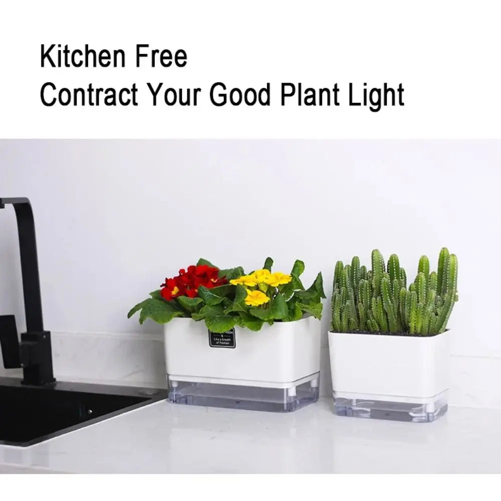 Self Watering Plant Pot Self-absorbent