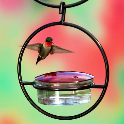 Hanging Hummingbird Feeder