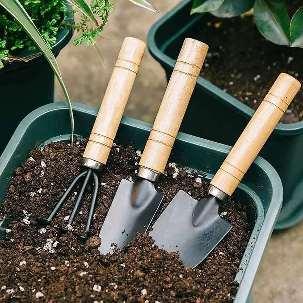 3 Pcs Mini Garden Tool Set