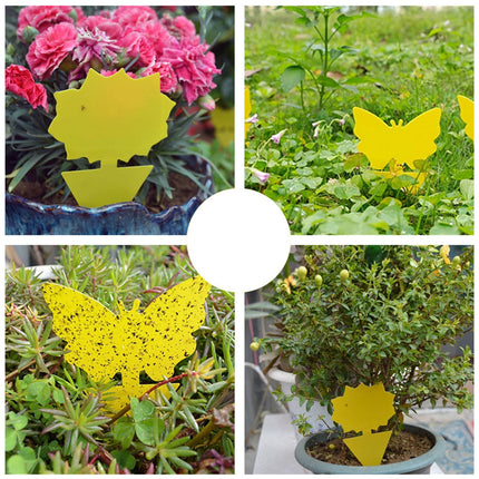 Reusable Dual-Sided Sticky Fly Traps