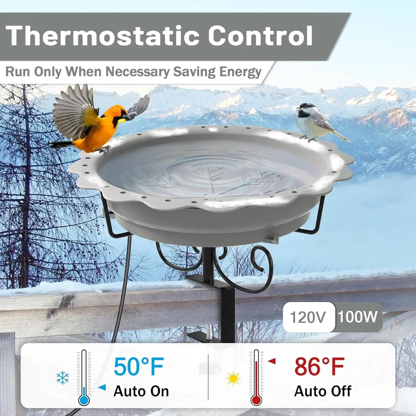 100W Heated Bird Bath for Outdoors