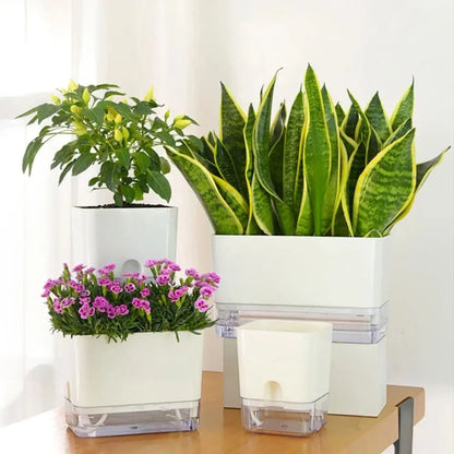 Self Watering Plant Pot Self-absorbent