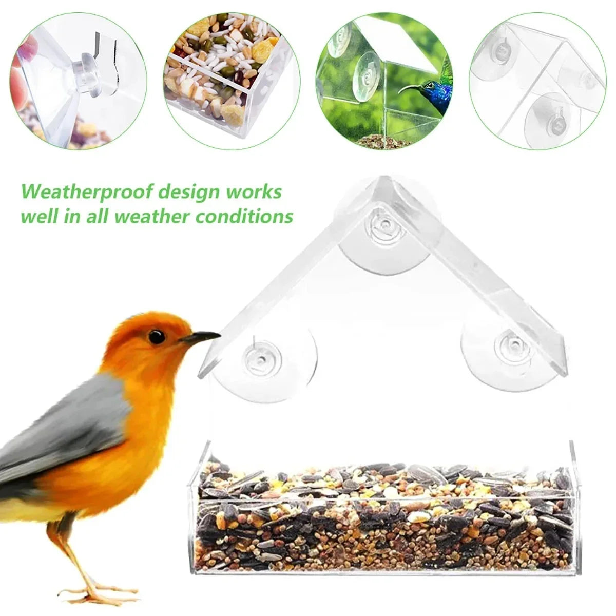 Transparent Bird Feeder