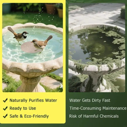 Two birds in a stone bird bath with text highlighting benefits on a yellow and green background.