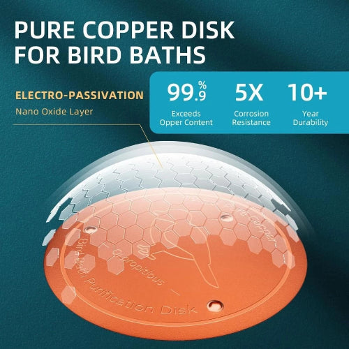 Pure copper disk for bird baths with electro-passivation properties on a blue background