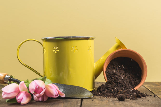 Banner image for: <h1><strong>ALL-IN-ONE GARDENING ESSENTIALS</strong></h1>